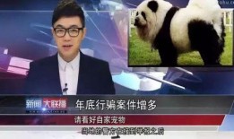 大鹏最新爆料新闻,揭秘娱乐圈幕后真相