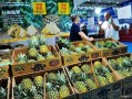凤梨爆料视频大全最新版本,最新版本精彩内容大盘点