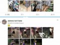 最新爆料偷拍网站,最新爆料网站曝光惊人内幕