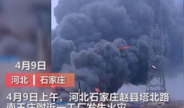 曲阜最新爆料事件视频曝光,视频曝光事件引发热议