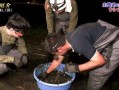牛哥最新爆料视频,揭秘娱乐圈惊人内幕！