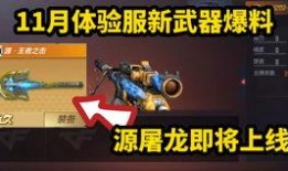 cf手游体验服先锋爆料最新,CF手游体验服新内容抢先看