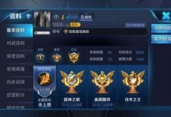 国服王者皮肤爆料最新,神秘英雄华丽登场，视觉盛宴即将开启！