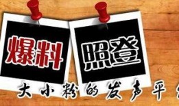 最新重庆爆料事件新闻,揭秘背后真相与影响