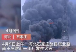 王庄最新爆料新闻视频播放,视频揭秘事件真相，引发网友热议